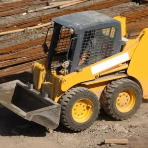 bobcat